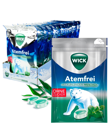 Wick Atemfrei Eukalyptus 20 x 72g