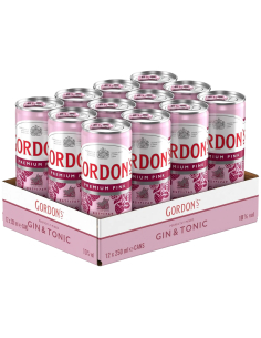 Gordon´s Pink Gin & Tonic 10% 12 x 250ml DPG 2